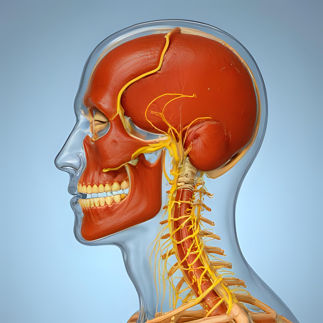 Lääkinnälliset laitteet migreenin hoidossa